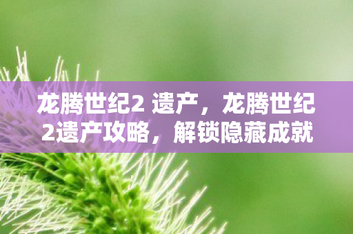 解锁隐藏成就与提升游戏体验图片