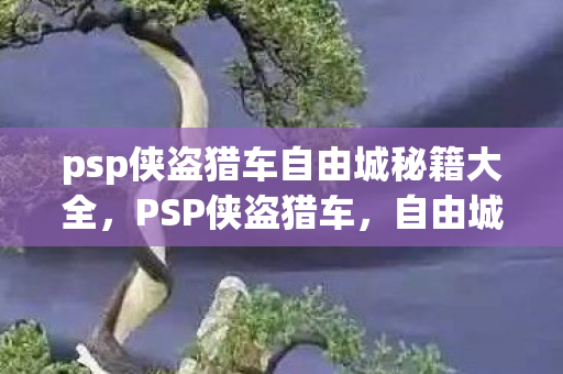 psp侠盗猎车自由城秘籍大全图片