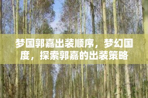 探索郭嘉的出装策略图片