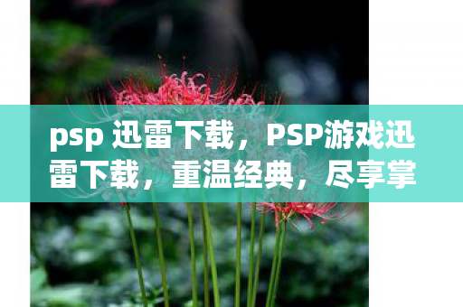 PSP游戏迅雷下载图片