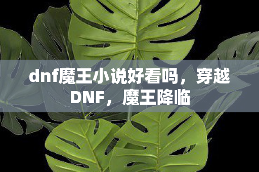 dnf魔王小说好看吗图片
