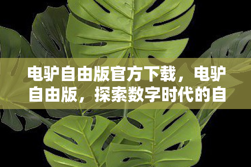 探索数字时代的自由之旅图片