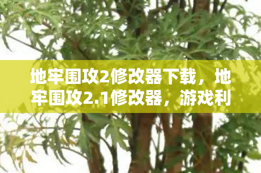 地牢围攻2修改器下载，地牢围攻2.1修改器，游戏利器还是作弊工具？