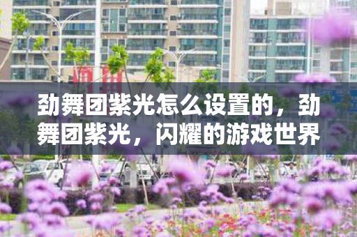 劲舞团紫光怎么设置的，劲舞团紫光，闪耀的游戏世界与粉丝文化