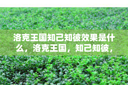 洛克王国知己知彼效果是什么图片