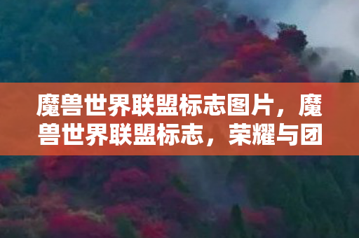 魔兽世界联盟标志图片图片