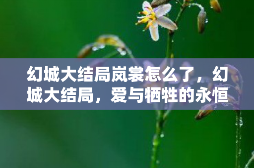 幻城大结局岚裳怎么了图片