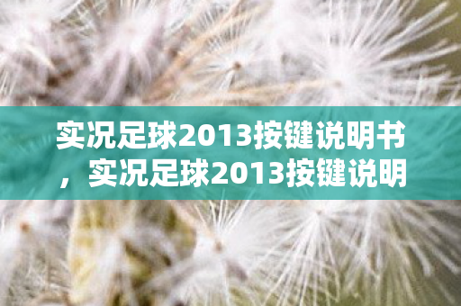 实况足球2013按键说明书图片