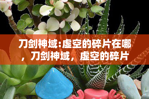 虚空的碎片在哪图片