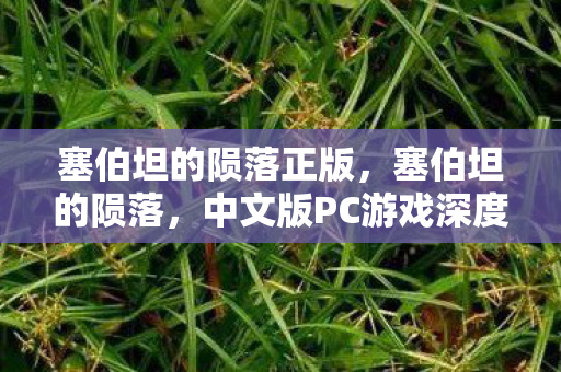 中文版PC游戏深度解析图片