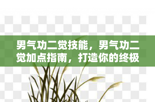 打造你的终极战斗大师图片