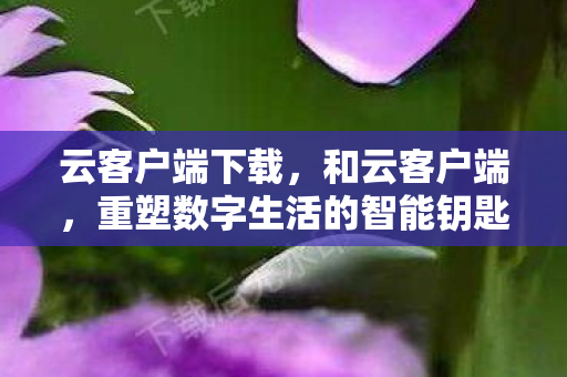 重塑数字生活的智能钥匙图片