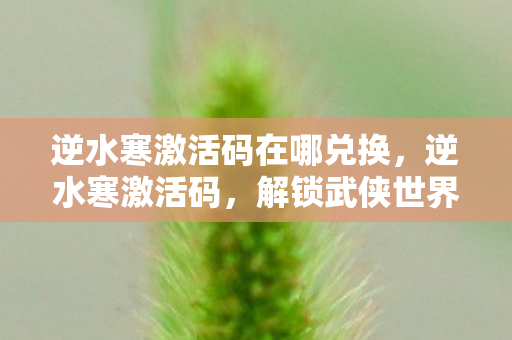 逆水寒激活码在哪兑换图片
