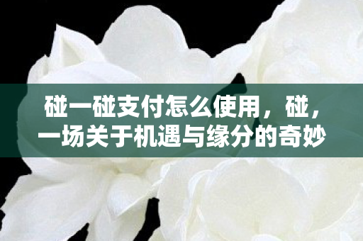 一场关于机遇与缘分的奇妙邂逅图片