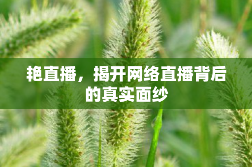 揭开网络直播背后的真实面纱图片
