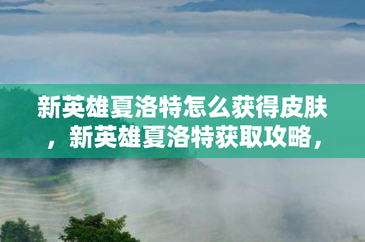 新英雄夏洛特怎么获得皮肤图片