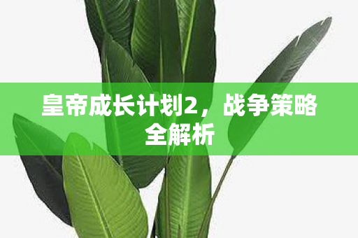 皇帝成长计划2图片