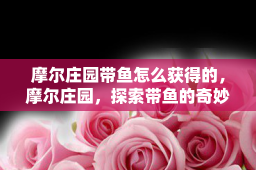 摩尔庄园带鱼怎么获得的图片