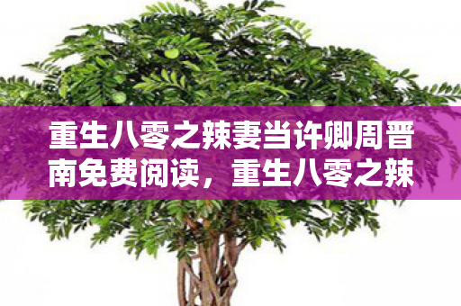 重生八零之辣妻当许卿周晋南免费阅读图片