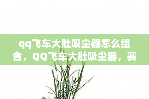 qq飞车大肚吸尘器怎么组合，QQ飞车大肚吸尘器，赛场新星，玩家的秘密武器