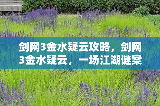 一场江湖谜案的深度剖析图片