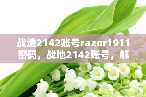 战地2142账号razor1911密码图片