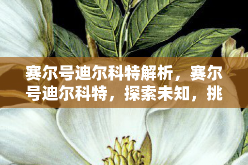 赛尔号迪尔科特解析图片