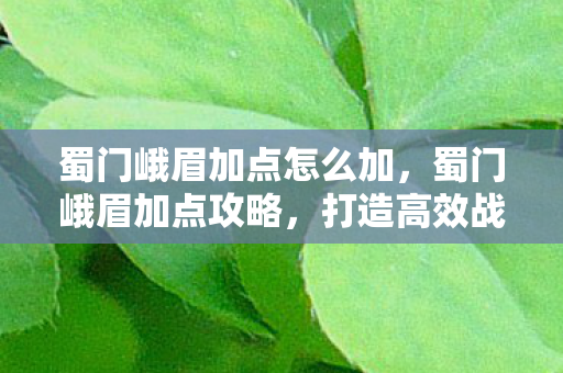 蜀门峨眉加点怎么加图片