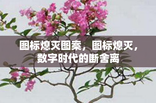 数字时代的断舍离图片