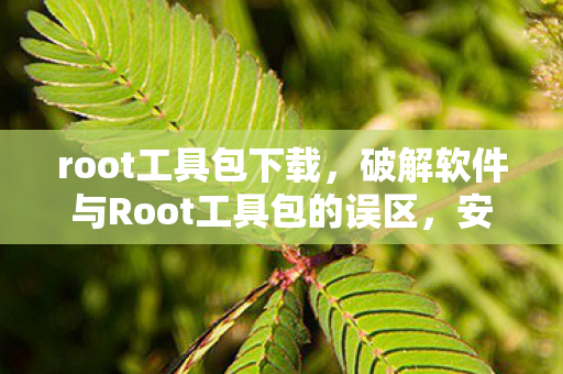破解软件与Root工具包的误区图片