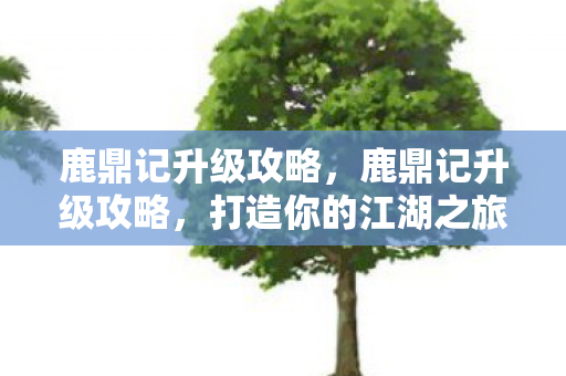 打造你的江湖之旅图片