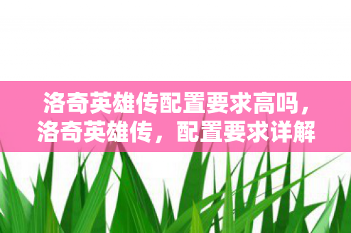 洛奇英雄传配置要求高吗图片