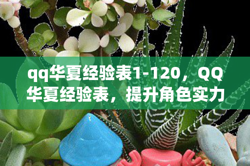 提升角色实力的关键指南图片