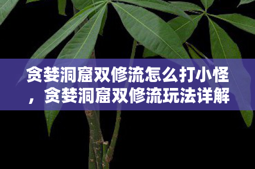 贪婪洞窟双修流怎么打小怪图片