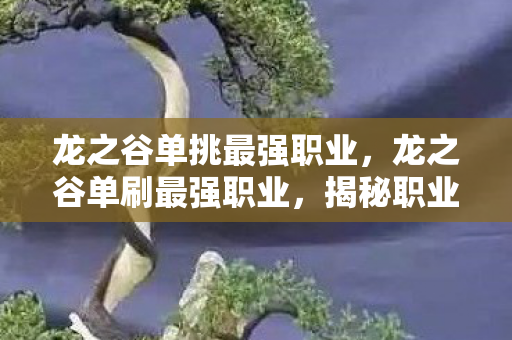龙之谷单挑最强职业图片