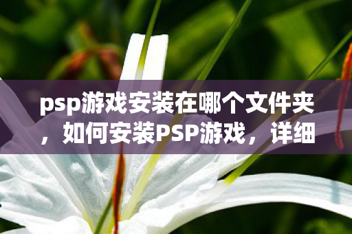 psp游戏安装在哪个文件夹图片