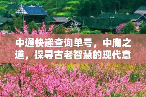 探寻古老智慧的现代意义图片