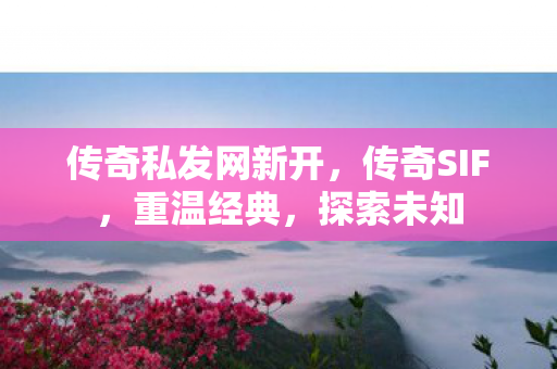 传奇私发网新开图片