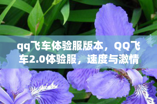 qq飞车体验服版本，QQ飞车2.0体验服，速度与激情的极致体验