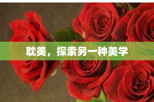 探索另一种美学图片