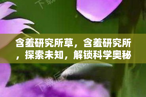 含羞研究所草图片