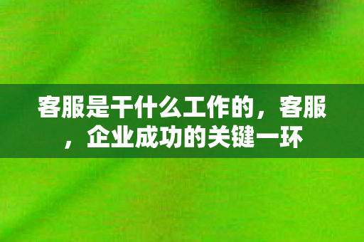 客服是干什么工作的图片