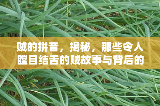 那些令人瞠目结舌的贼故事与背后的真相图片