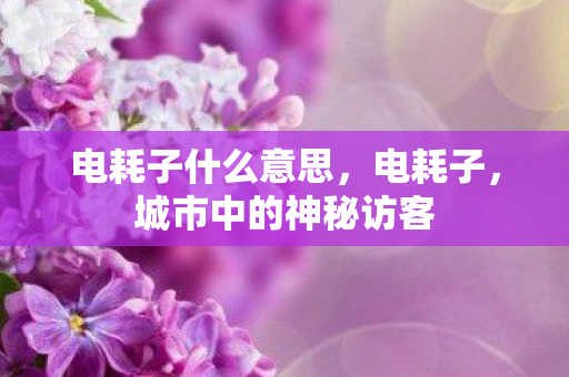 城市中的神秘访客图片