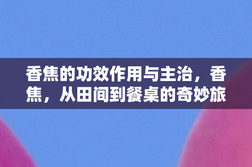 从田间到餐桌的奇妙旅程图片