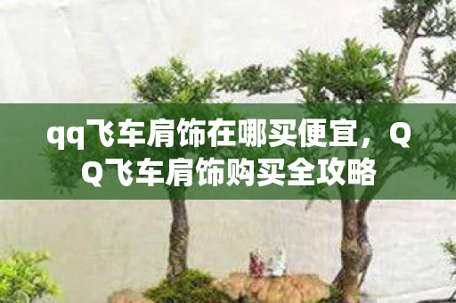 qq飞车肩饰在哪买便宜，QQ飞车肩饰购买全攻略