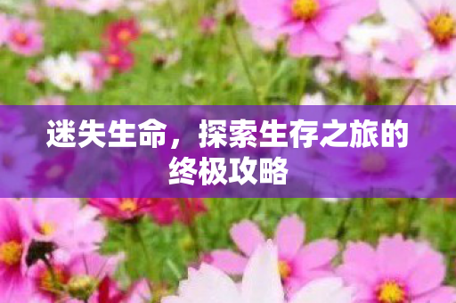 探索生存之旅的终极攻略图片