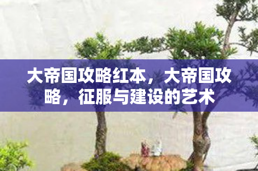 征服与建设的艺术图片