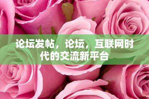 互联网时代的交流新平台图片