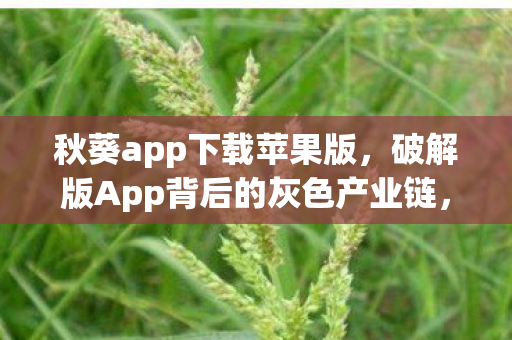破解版App背后的灰色产业链图片